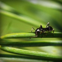/album/amifiteani/photolia-a05-jpg/