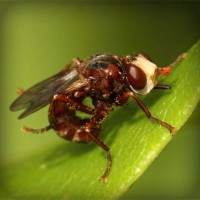 /album/amifiteani/photolia-a06-jpg/