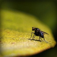 /album/amifiteani/photolia-a07-jpg/